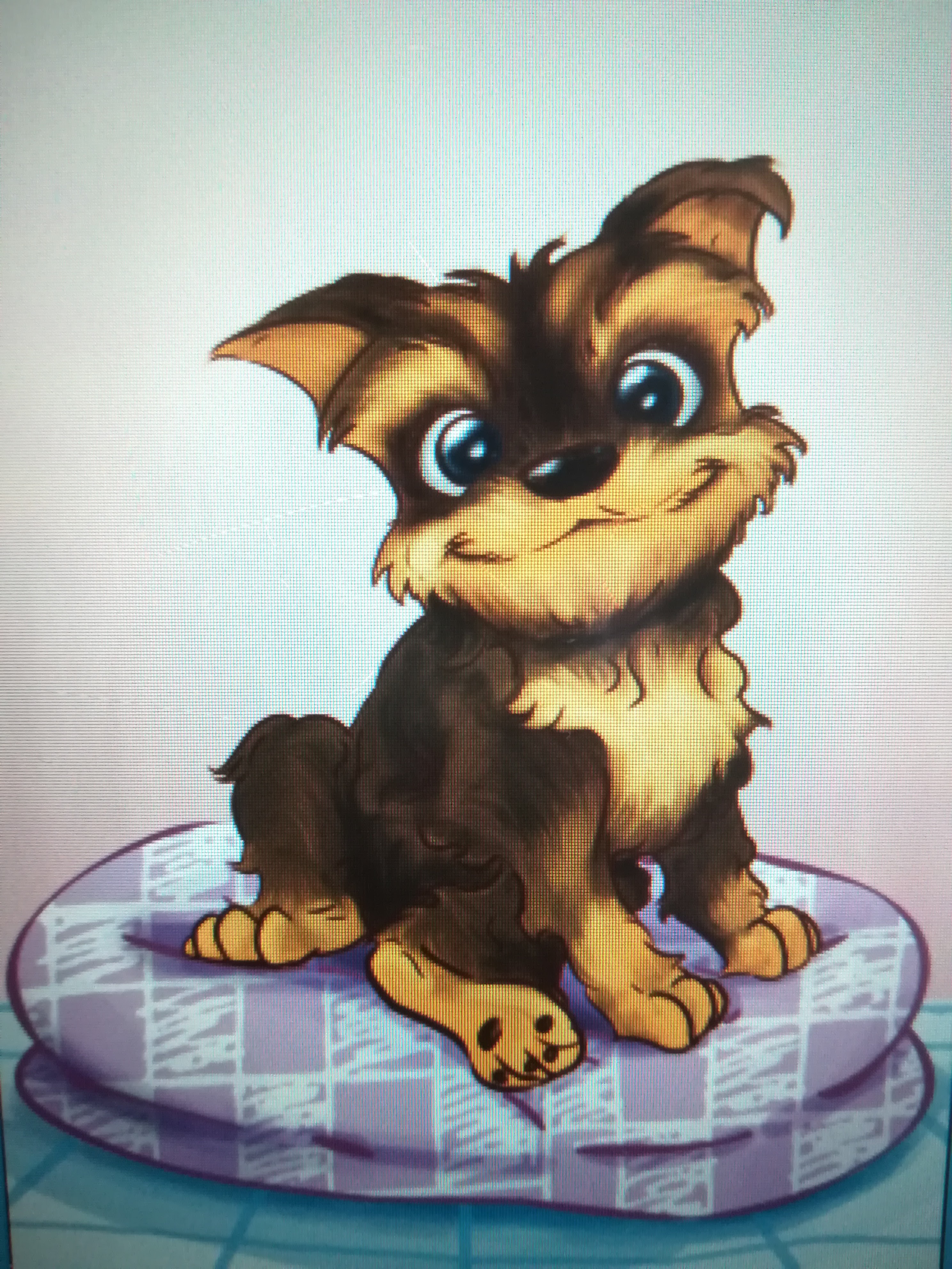 retrato-mascota-victoria-izquierdo-design-madrid